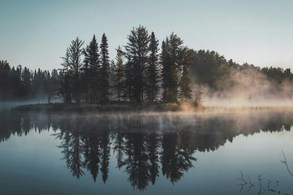 Lac immobile à l'aube, îlot de pins et brume qui se reflètent dans l'eau