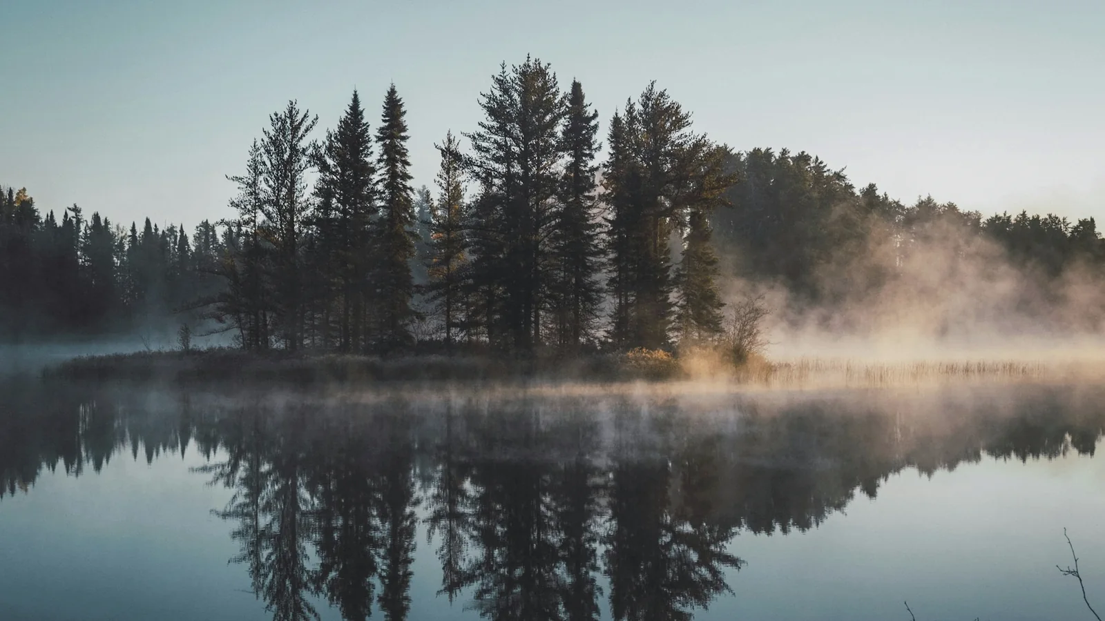 Lac immobile à l'aube, îlot de pins et brume qui se reflètent dans l'eau